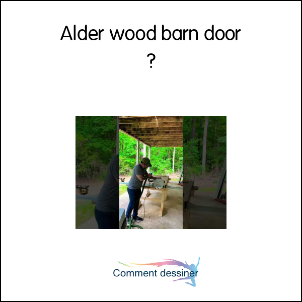 Alder wood barn door
